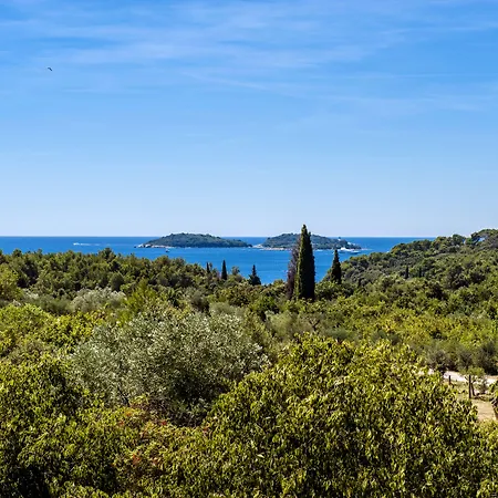 Centener Apartament *